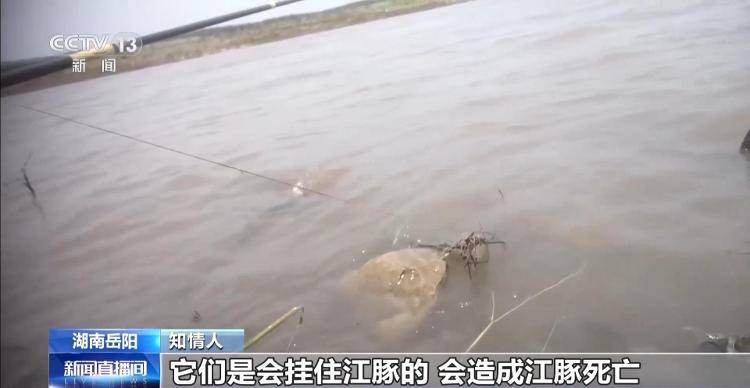保护区里的“疯狂垂钓”屡禁不止<strong></p>
<p>炒币策略</strong>！记者调查