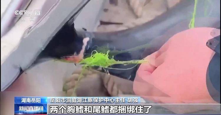 保护区里的“疯狂垂钓”屡禁不止<strong></p>
<p>炒币策略</strong>！记者调查