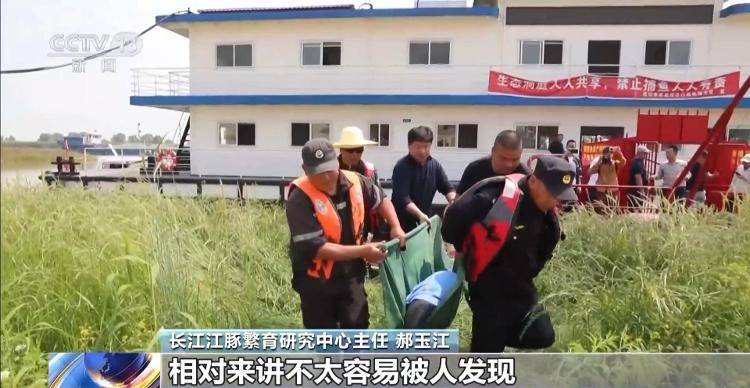 保护区里的“疯狂垂钓”屡禁不止<strong></p>
<p>炒币策略</strong>！记者调查