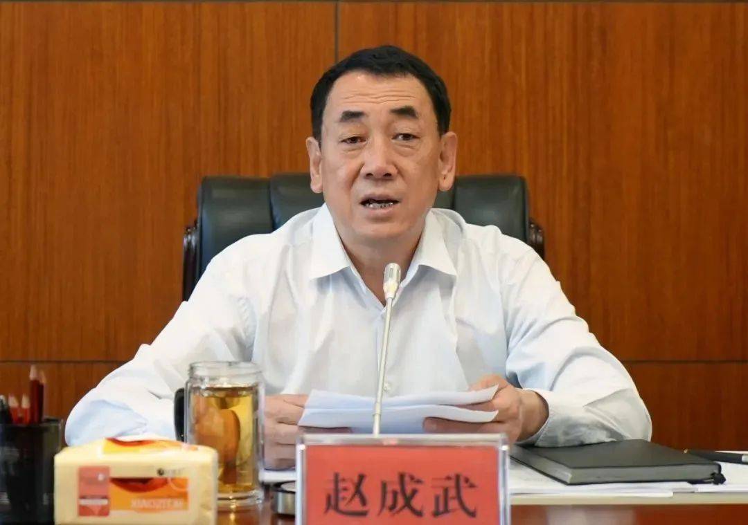 中央提级巡视时<strong></p>
<p>炒币策略</strong>，赵成武被查