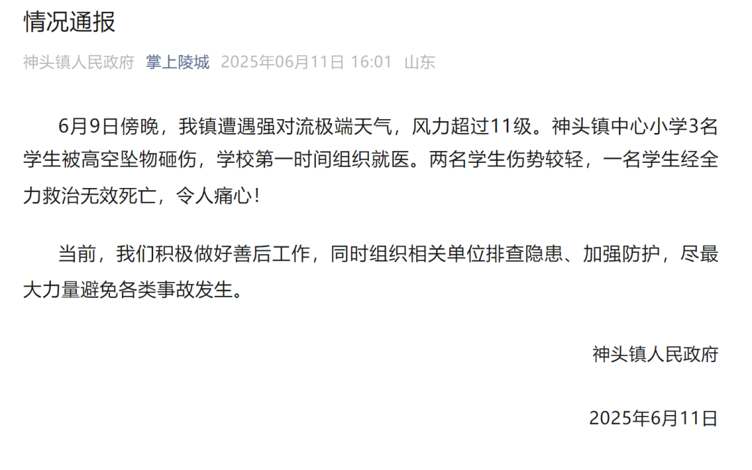 山东德州通报“小学楼顶光伏板掉落砸中多名学生”：3名学生被砸伤<strong></p>
<p>嘉信c币</strong>，1名学生经全力救治无效死亡