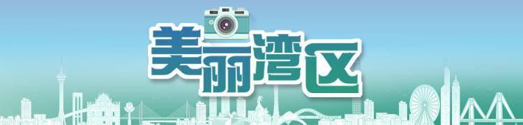 慕了！深圳人太幸福<strong></p>
<p>嘉信c币</strong>，家门口邂逅百万荷花，城市诗意直接拉满