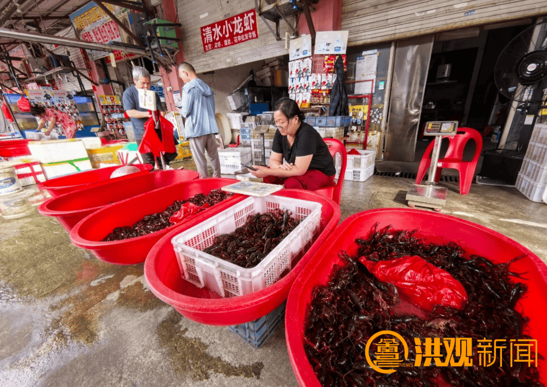 价格腰斩<strong></p>
<p>币圈视频</strong>！13元/斤！南昌正大量上市