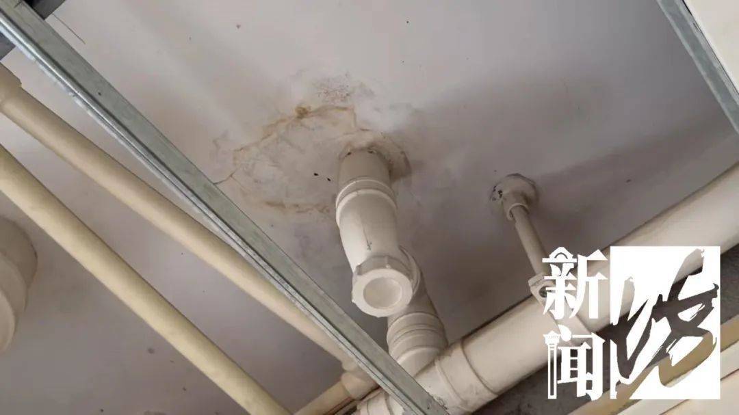 上海一老人拒绝疏通马桶<strong></p>
<p>币圈爱情</strong>，整栋楼天天被臭味“袭击”！邻居们真崩溃了
