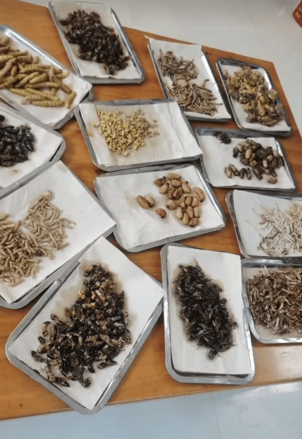 山东临沂通报“蛤蟆汤”饭店被拟罚45万：撤销处罚<strong></p>
<p>二宝币</strong>，5人停职