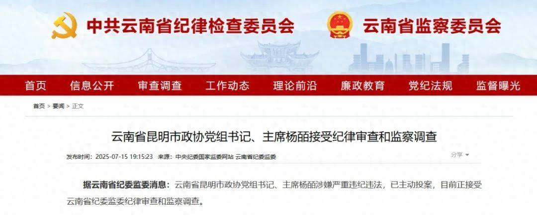曾任昆明市副市长的她<strong></p>
<p>三元币</strong>，主动投案