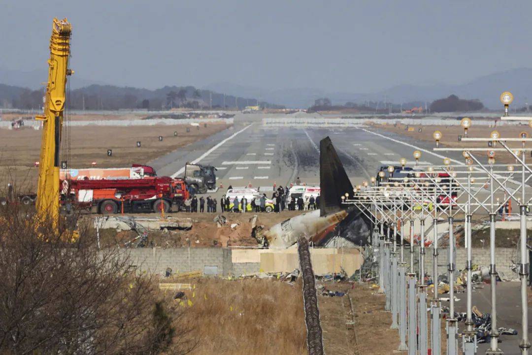 致179人遇难！韩国12·29济州航空空难阶段性调查结果出炉：飞机遭遇鸟击后飞行员关错发动机<strong></p>
<p>萌币</strong>，导致两台发动机失去动力
