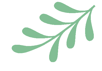 保定交警提醒：未满16周岁不得驾驶电动自行车<strong></p>
<p>币圈妙语</strong>！