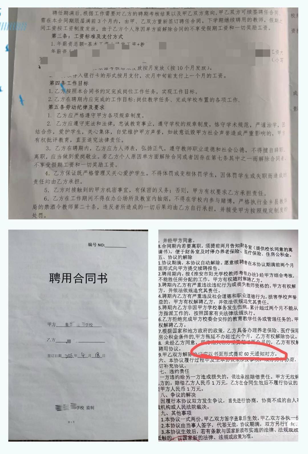 以招生未达到预期为由<strong></p>
<p>英语</strong>，多地新聘教师遭拟入职学校单方面毁约｜封面深镜