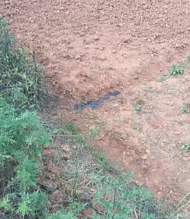 工人如厕被误当猎物枪击身亡<strong></p>
<p>俄语</strong>，亲属：他此次打工是为攒钱筹备女儿婚礼