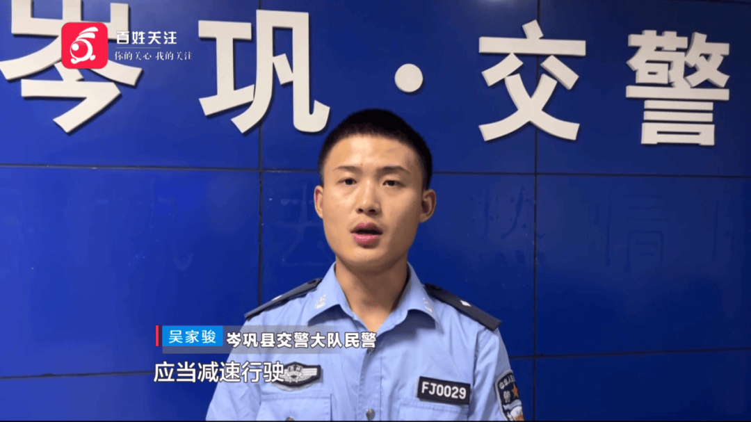 行人在斑马线上被SUV撞倒卷入车底<strong></p>
<p>沃尔核材股票</strong>，司机：我以为他们会让我……
