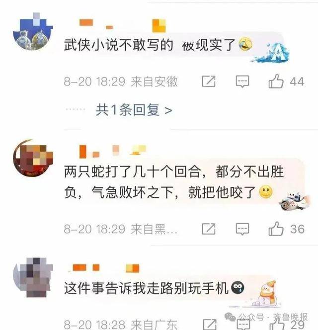 安徽宣城一男子走路玩手机<strong></p>
<p>同方股份股票</strong>，一脚踩中打架的竹叶青和五步蛇，被俩毒蛇咬3口！医院：暂无生命危险，正在治疗