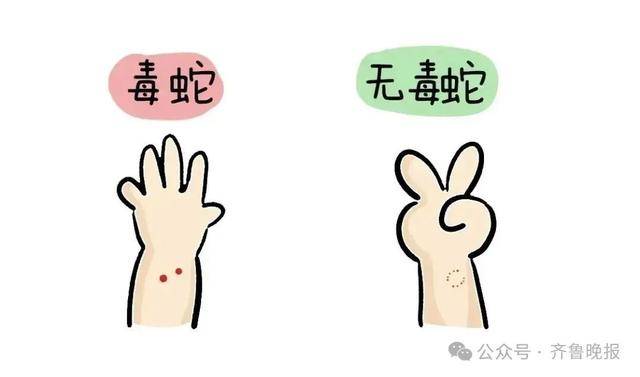 安徽宣城一男子走路玩手机<strong></p>
<p>同方股份股票</strong>，一脚踩中打架的竹叶青和五步蛇，被俩毒蛇咬3口！医院：暂无生命危险，正在治疗