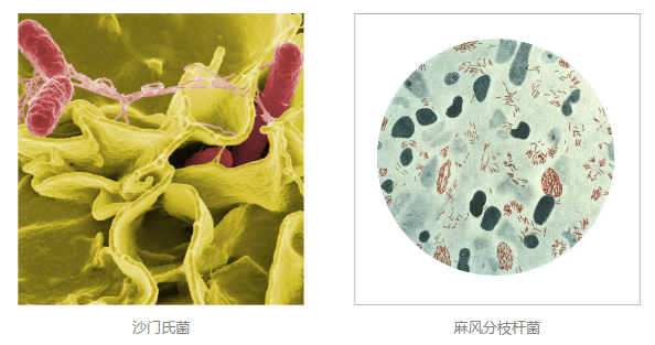 小心<strong></p>
<p>同方股份股票</strong>！你的快递正在“偷渡”小强！