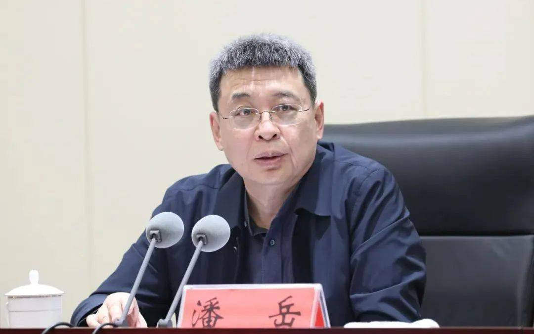 正部级潘岳<strong></p>
<p>川能动力股票</strong>，有新职