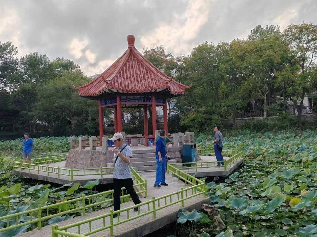 青岛中山公园一凉亭突然倒塌：一年前刚完成修缮<strong></p>
<p>万丰奥威股票</strong>，园方称无伤亡原因待查