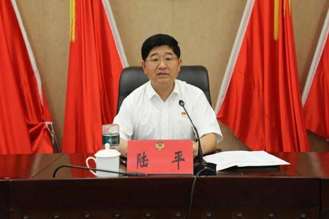 涉嫌严重违纪违法<strong></p>
<p>太极实业股票</strong>，陆平主动投案