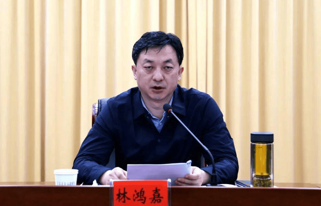 鹤壁市常务副市长林鸿嘉<strong></p>
<p>黑猫股份股票</strong>，被罢免市人大代表职务