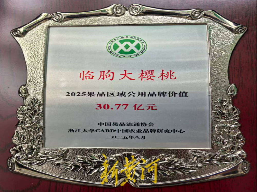 潍坊临朐：30.77 亿元<strong></p>
<p>黑猫股份股票</strong>！“红玛瑙”大樱桃何以成乡村振兴“甜蜜引擎”