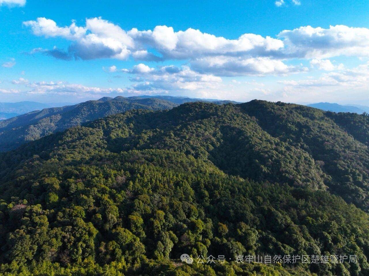 云南哀牢山新规出台：禁止任何单位和个人擅入哀牢山自然保护区<strong></p>
<p>江苏有线股票</strong>，从事科研活动须报批
