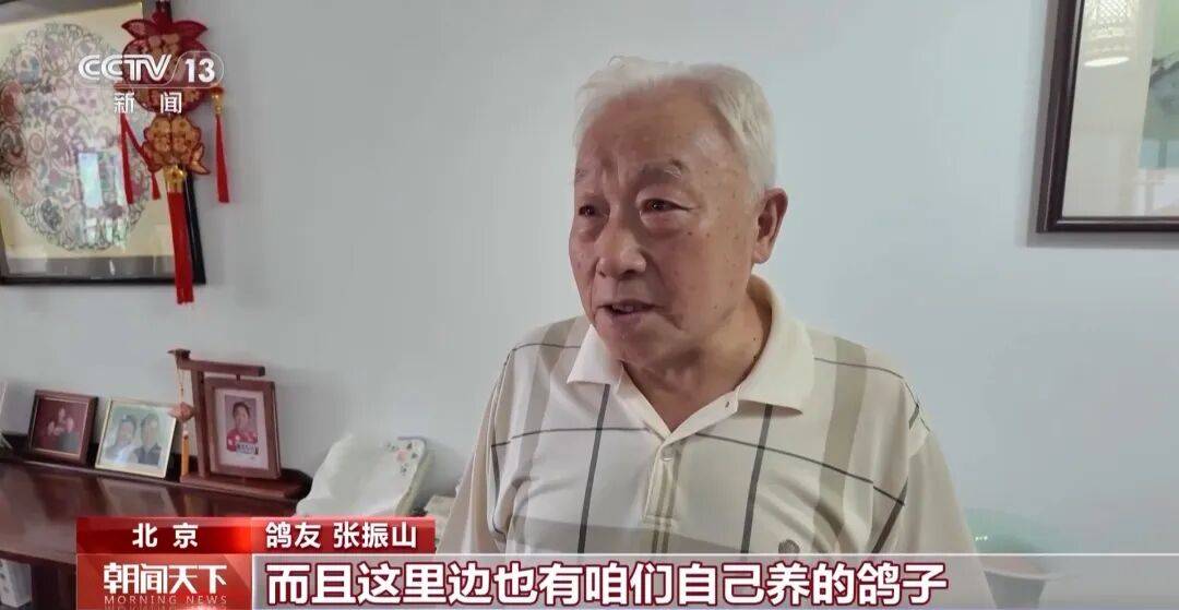 明天将放飞8万羽和平鸽、8万只气球<strong></p>
<p>江苏有线股票</strong>，揭秘！
