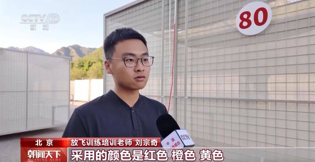 明天将放飞8万羽和平鸽、8万只气球<strong></p>
<p>江苏有线股票</strong>，揭秘！