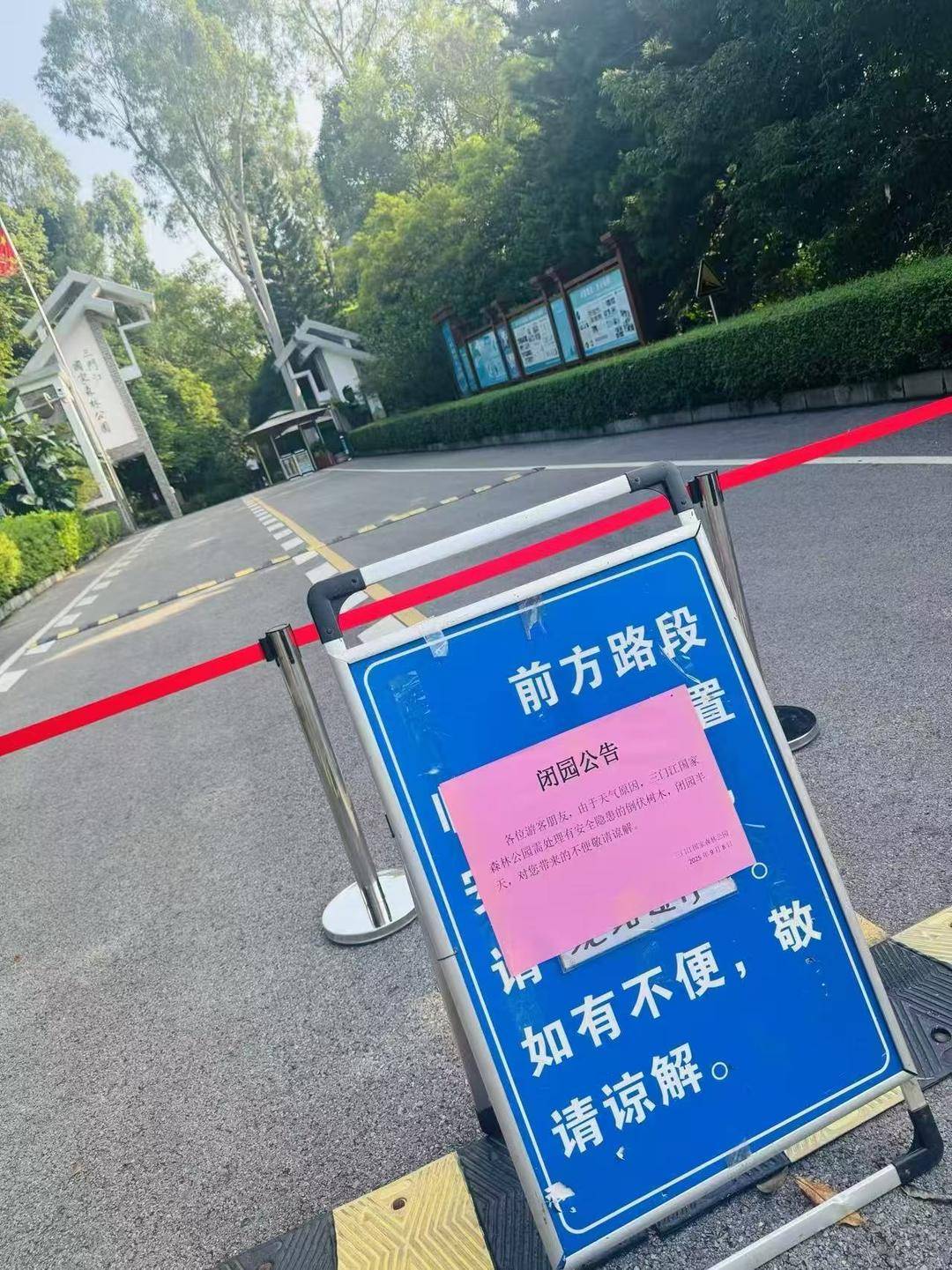广西柳州三门江公园回应“游客被雷电击伤”：雷击凉亭后树枝砸伤游客<strong></p>
<p>可口可乐股票</strong>，治疗后已回家