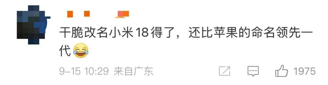 雷军：全面对标iPhone<strong></p>
<p>马应龙股票</strong>，正面迎战！小米宣布跳过16系列，直接发布17