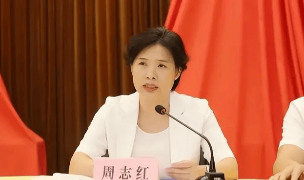中共中央批准<strong></p>
<p>马应龙股票</strong>，开除周志红党籍
