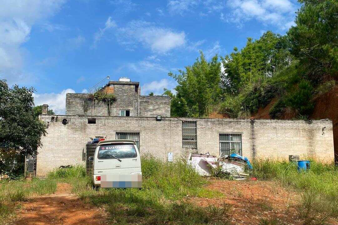 广西一原县委书记被绑架案调查：冒充执法人员带走受害人<strong></p>
<p>马应龙股票</strong>，被告人一家多人获刑!