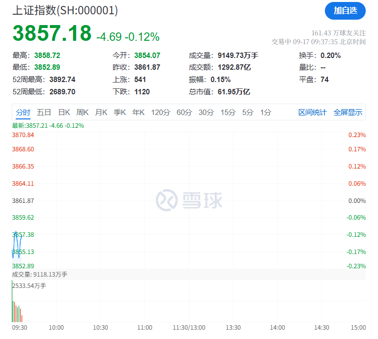 突然<strong></p>
<p>浙江东方股票</strong>，集体猛拉！狂掀涨停潮