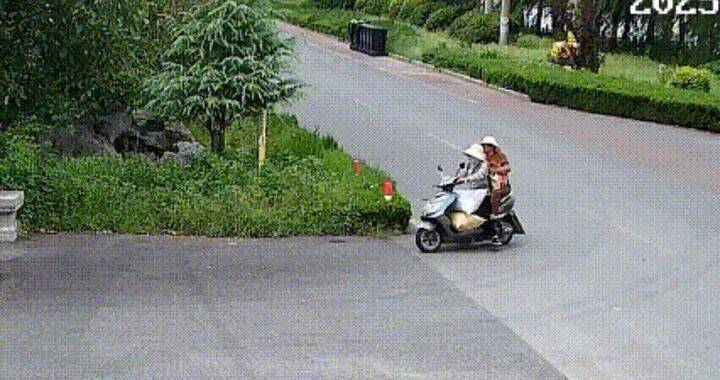400斤<strong></p>
<p>浙江东方股票</strong>，两人多次偷猕猴桃自己吃，被济南警方抓获