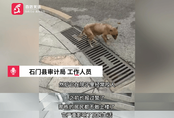 保安称“经常咬人”打死流浪犬<strong></p>
<p>浙江东方股票</strong>，居民上门讨说法：这个门卫穷凶极恶