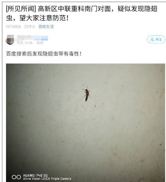 西安多区发现隐翅虫？千万别拍<strong></p>
<p>宝钢股份股票</strong>！毒液堪比硫酸