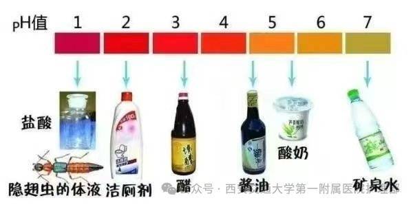 西安多区发现隐翅虫？千万别拍<strong></p>
<p>宝钢股份股票</strong>！毒液堪比硫酸