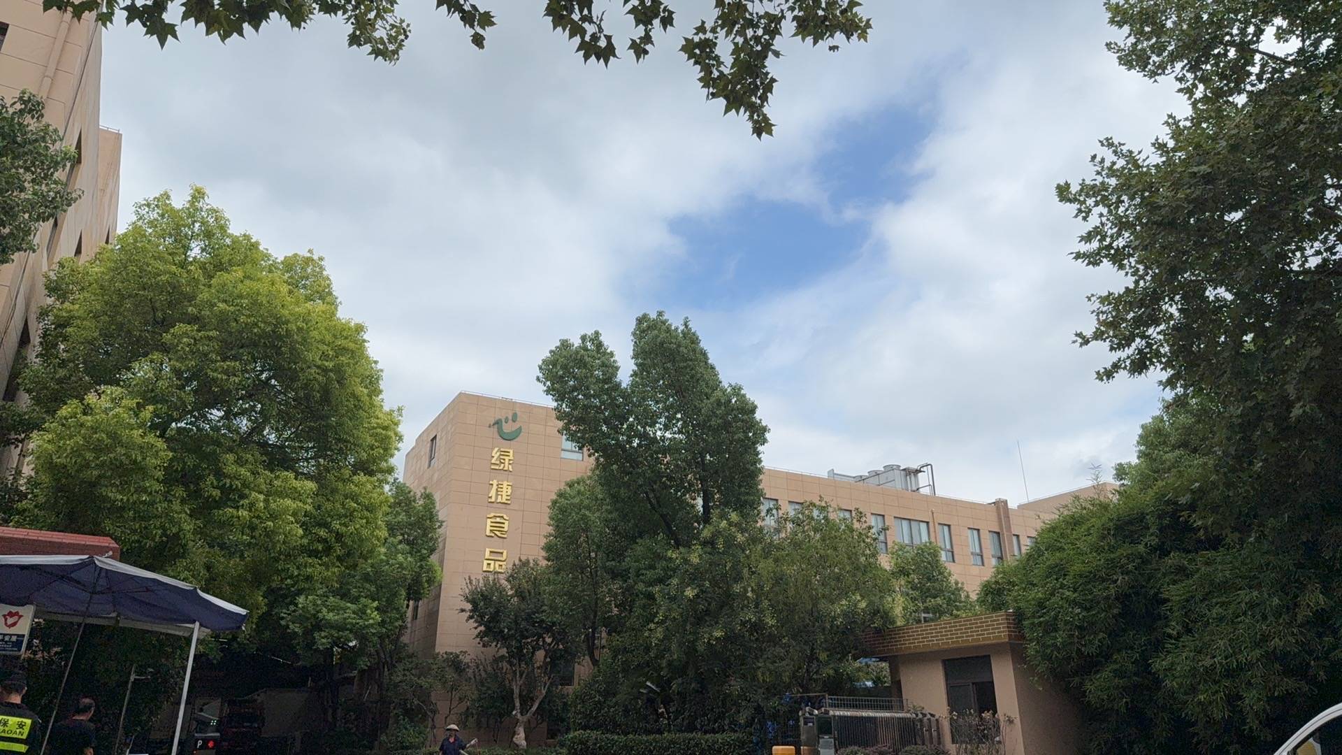 起底上海校园餐争议供应商绿捷：8月中标27个项目<strong></p>
<p>同济科技股票</strong>，背后资本到底是谁？