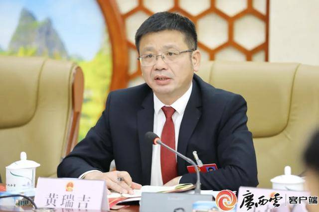 黄瑞吉<strong></p>
<p>百大集团股票</strong>，严重损害党的形象、都安的形象