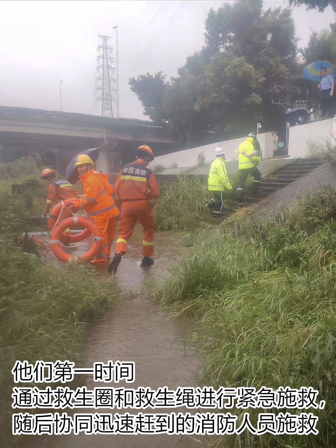 台风夜<strong></p>
<p>百大集团股票</strong>，深圳有人溺水！紧急！“桦加沙”过境，这些画面泪目