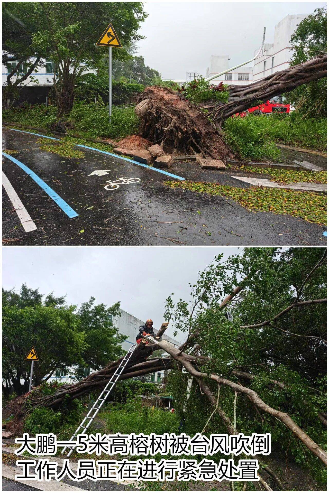 台风夜<strong></p>
<p>百大集团股票</strong>，深圳有人溺水！紧急！“桦加沙”过境，这些画面泪目