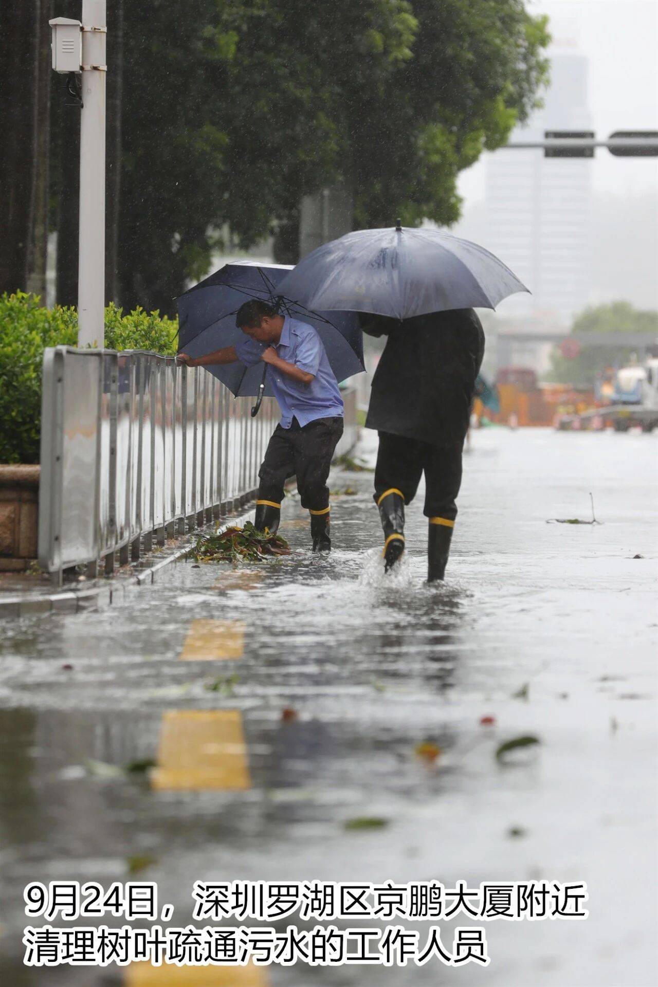 台风夜<strong></p>
<p>百大集团股票</strong>，深圳有人溺水！紧急！“桦加沙”过境，这些画面泪目