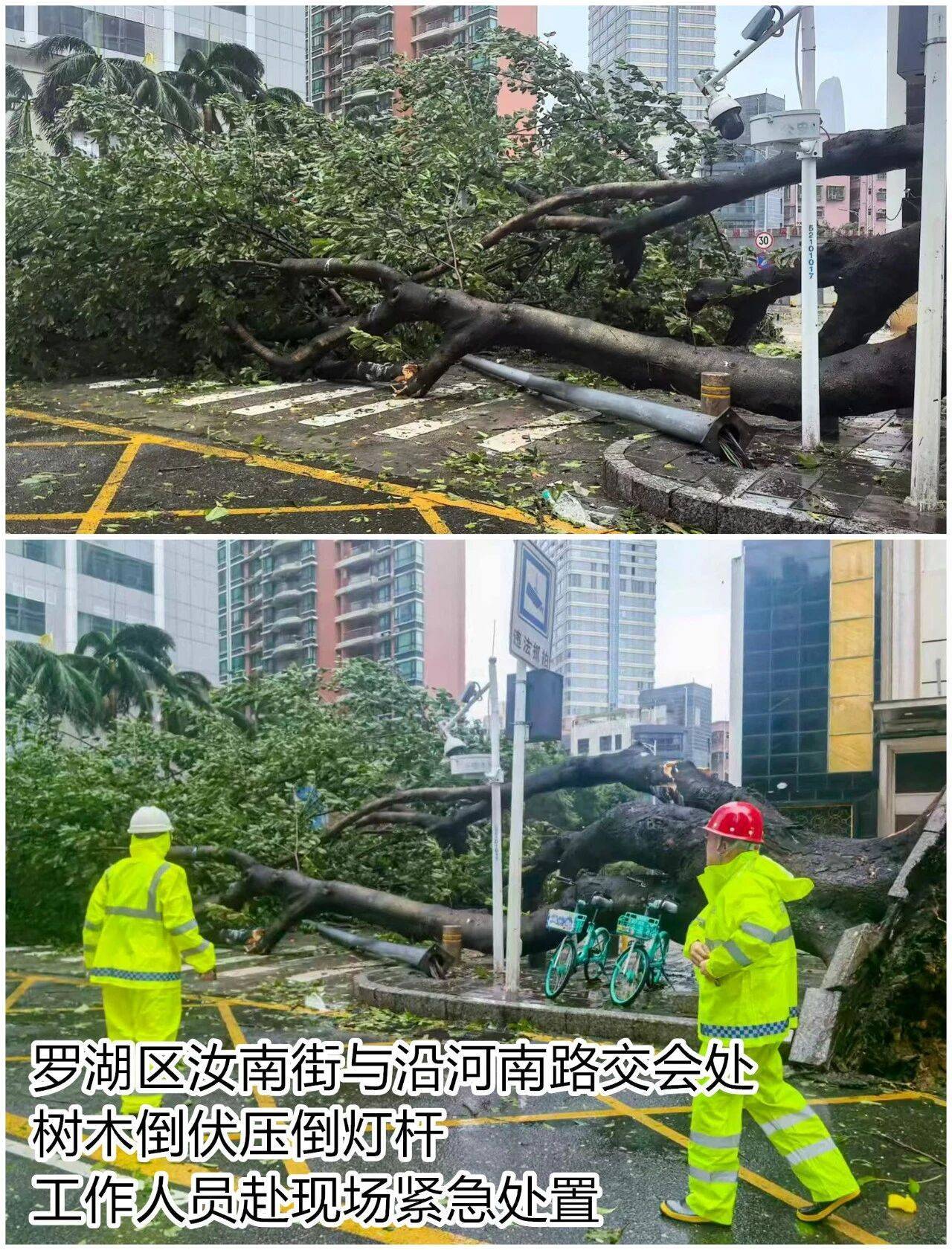 台风夜<strong></p>
<p>百大集团股票</strong>，深圳有人溺水！紧急！“桦加沙”过境，这些画面泪目