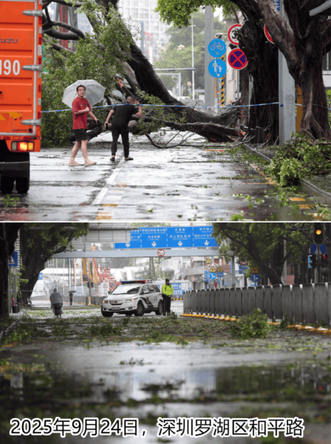 台风夜<strong></p>
<p>百大集团股票</strong>，深圳有人溺水！紧急！“桦加沙”过境，这些画面泪目