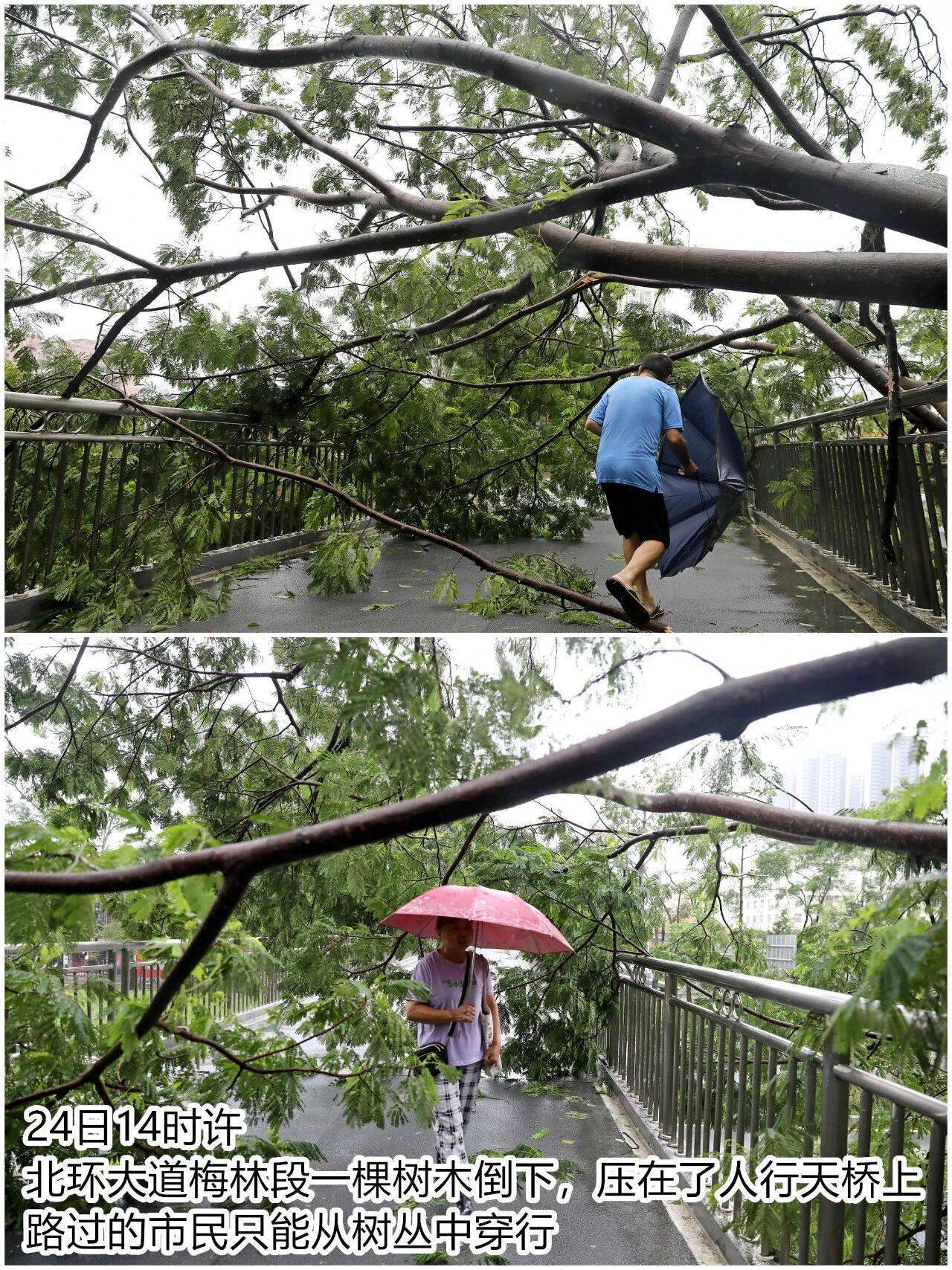 台风夜<strong></p>
<p>百大集团股票</strong>，深圳有人溺水！紧急！“桦加沙”过境，这些画面泪目