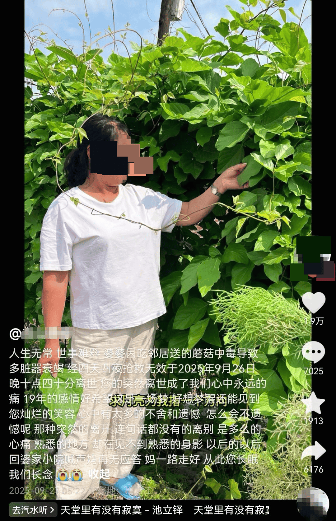 网红发文悼念婆婆：吃了邻居送的蘑菇中毒<strong></p>
<p>鱼跃医疗股票</strong>，抢救四天四夜死亡！这些蘑菇避毒原则可能是陷阱→