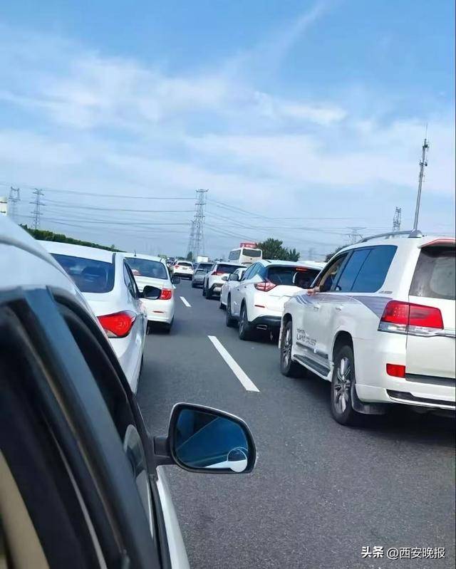 “聪明的人已经提前出发了”<strong></p>
<p>旗滨集团股票</strong>，结果高速上全是聪明人！