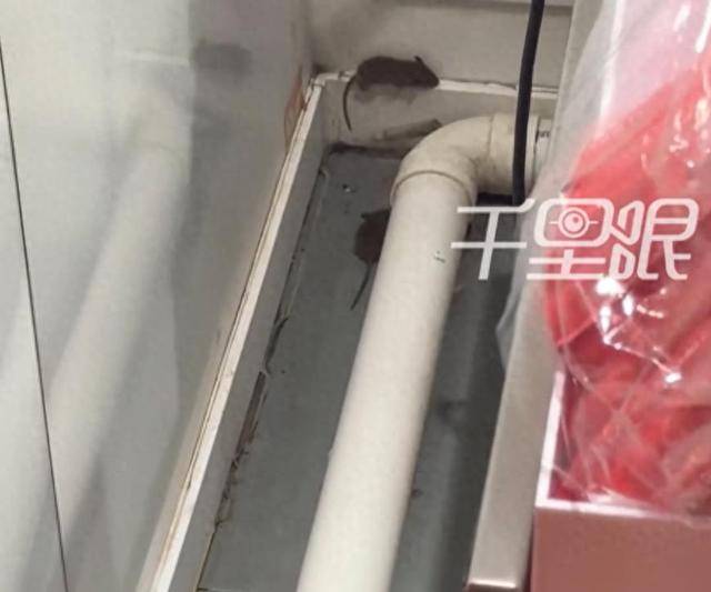网曝蜜雪冰城一门店有多只老鼠横行<strong></p>
<p>天桥起重股票</strong>，涉事门店员工回应