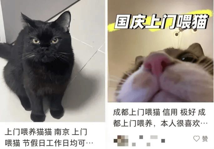 这个需求激增！一男子连接270单<strong></p>
<p>酒鬼酒股票</strong>，其中一笔收费8100元