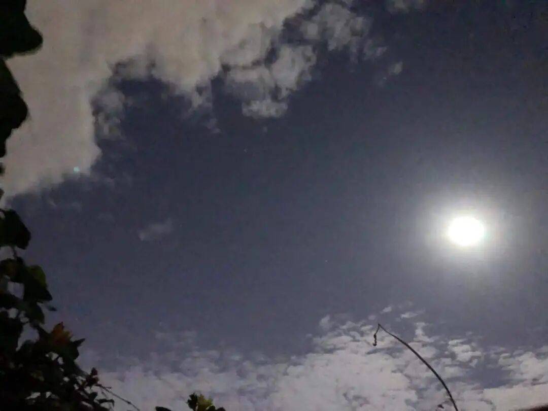 没有什么能阻挡！今天<strong></p>
<p>酒鬼酒股票</strong>，广西人就是要回家！