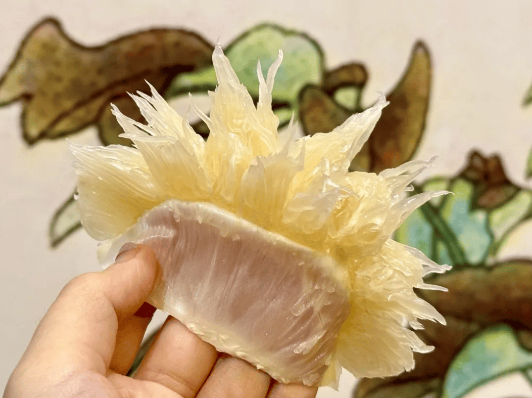 没有什么能阻挡！今天<strong></p>
<p>酒鬼酒股票</strong>，广西人就是要回家！
