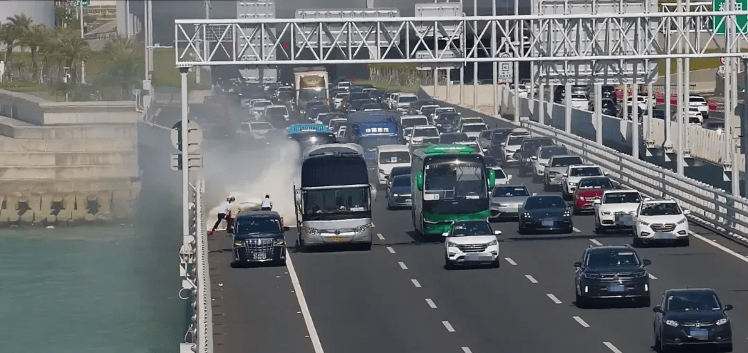 粤B·97821D、粤Z·AG85澳、粤T·91736<strong></p>
<p>酒鬼酒股票</strong>，你们被拍下来了！